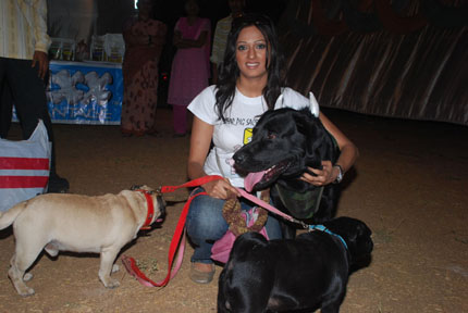 Dog Pets For Sale In Coimbatore Dog Pets For Sale In Coimbatore