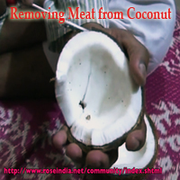 removing the meat from coconut